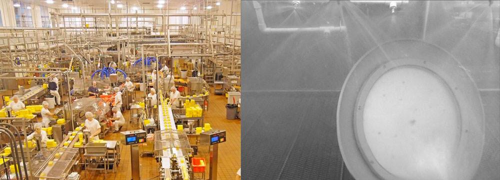 LED Leuchte für Lebensmittelproduktion