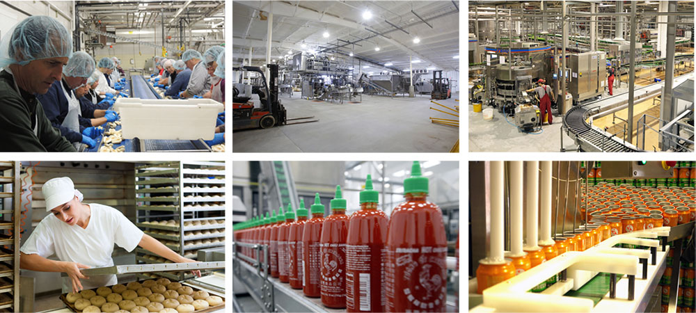 LED Leuchte für Lebensmittelproduktion